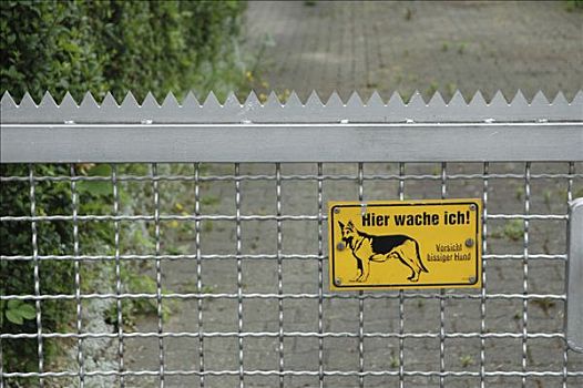 金属,栅栏,标识,狗