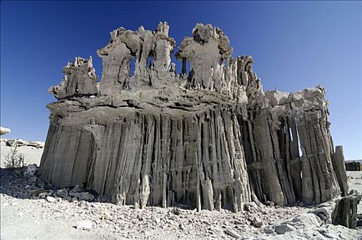 岩石构造,莫诺湖,南,石灰华,藤蔓,加利福尼亚,美国,北美