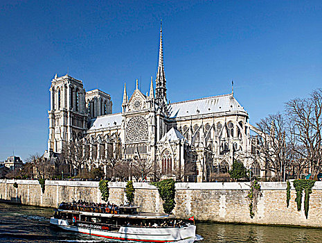 法国,巴黎,巴黎圣母院,大教堂,全视图