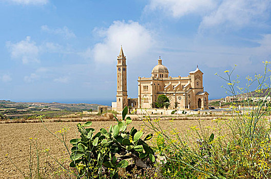 大教堂,岛屿,戈佐,马耳他,欧洲