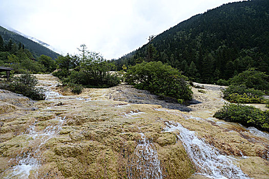 四川阿坝黄龙风光