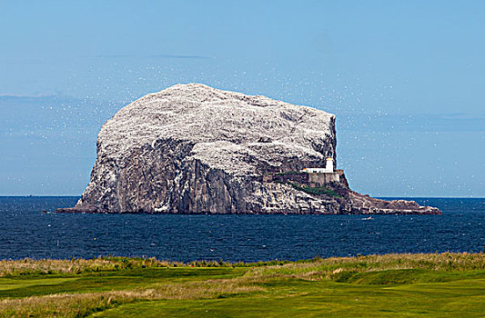 大,岩石构造,石头,海洋,灯塔,洛锡安,苏格兰