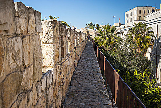 风景,墙壁,散步场所,围绕,老城,耶路撒冷,以色列