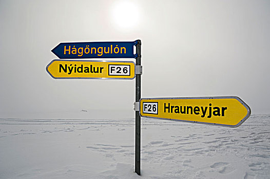 积雪,路标,冬季风景,冰河,冰岛,高地,欧洲