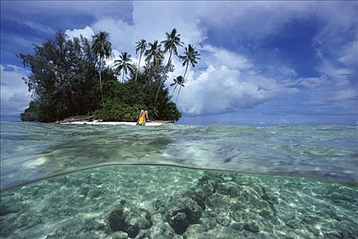 水中,珊瑚礁,热带海岛,所罗门群岛
