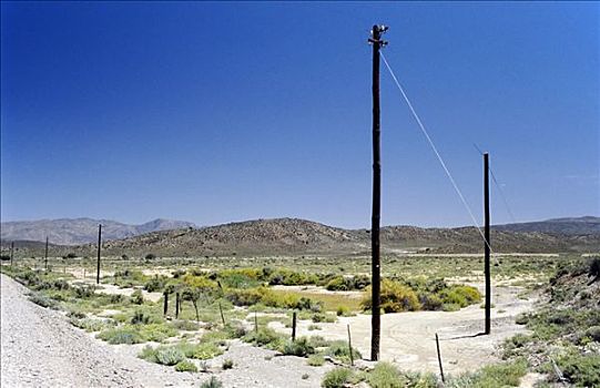 干燥地带,电线杆,半荒漠,区域,开普省,南非,非洲