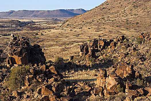 岩石构造,游戏,牧场,南非
