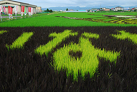 青森,乡村