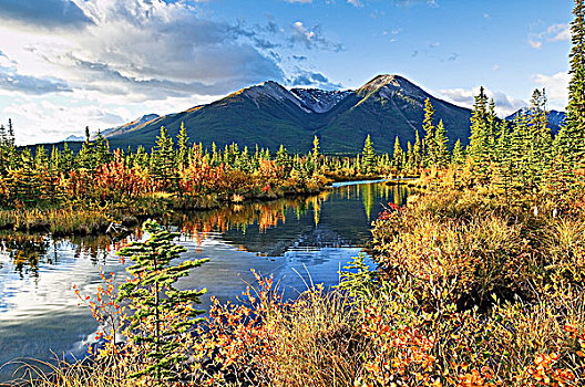 秋色,维米里翁湖,班芙国家公园,艾伯塔省,加拿大