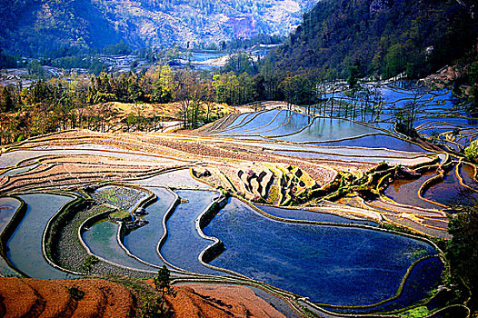 元阳梯田