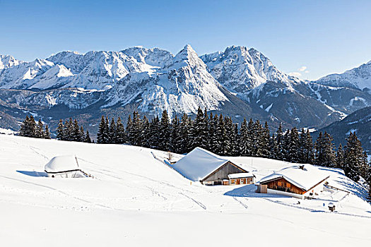 山脉,冬天,许多,雪,埃尔瓦尔德,著名,旅游,奥地利,提洛尔