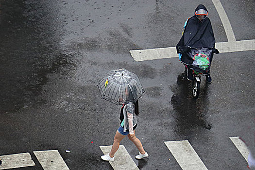 雨中行