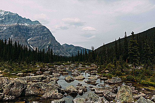 岩石,河床,山脉,冰碛湖,班芙国家公园,艾伯塔省,加拿大