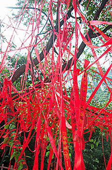 挂满红色丝带的许愿树