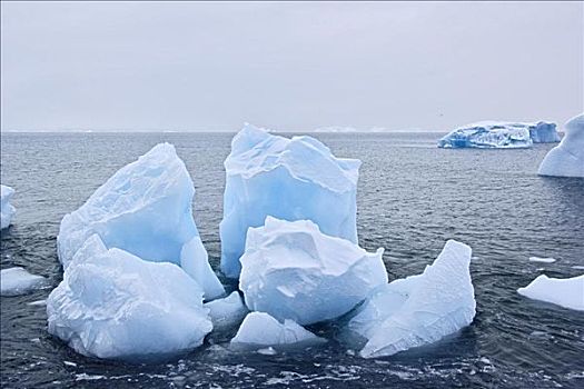 冰,水,布朗布拉夫,南极