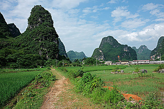 乡村,中国