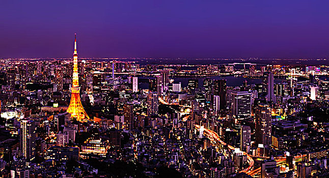 城市,东京塔,夜晚,东京,日本,亚洲