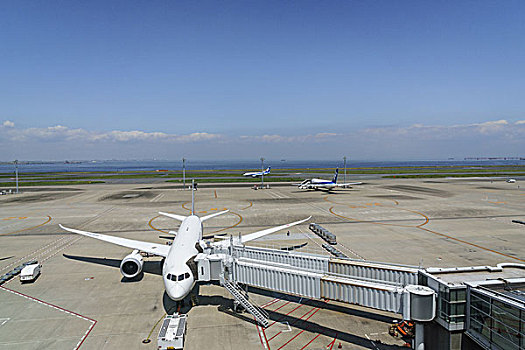 飞机,羽田,机场,日本