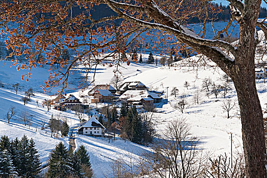 冬天,小村庄,区域,黑森林,巴登符腾堡,德国,欧洲
