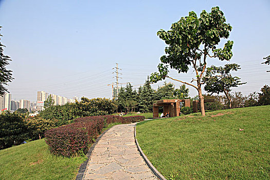 永阳公园