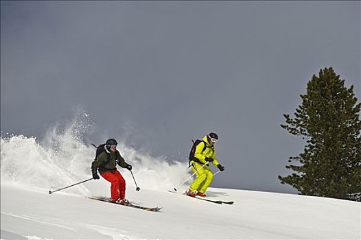 两个,厚雪,滑雪者,提洛尔,奥地利,欧洲
