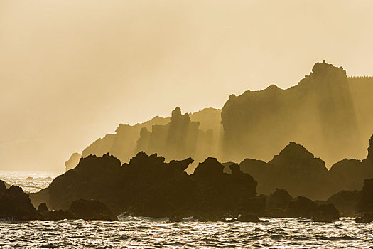 火山岩,岩石海岸,晨雾,特内里费岛,加纳利群岛,西班牙