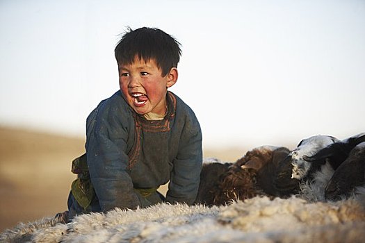 男孩,绵羊,国家公园,蒙古