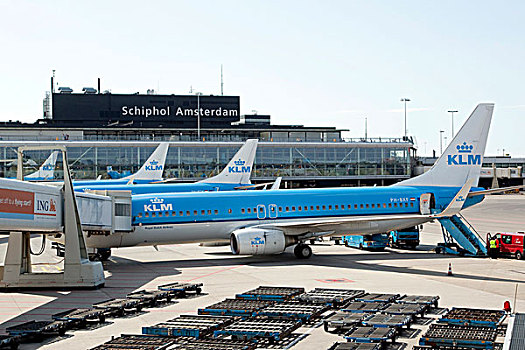 荷兰航空公司,飞机,飞机跑道,史基浦,机场,阿姆斯特丹,荷兰,欧洲