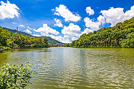 深圳银湖水库