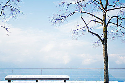 积雪,瞭望点,树,长椅,远眺,湖
