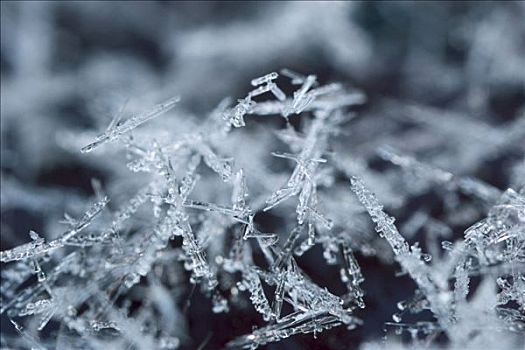 雪,冰晶