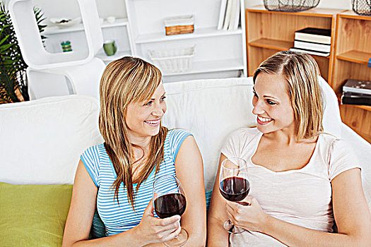 高兴,两个女人,喝,葡萄酒,坐,沙发