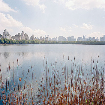 风景,曼哈顿,天际线