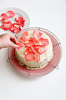 装饰,分层蛋糕,玫瑰花瓣
