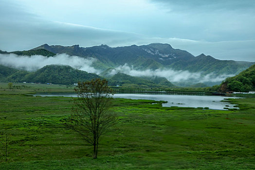 神农架,大九湖,风景,景点,旅游,高山,瀑布,河流,树木,植被,湿地,高原,湖泊,壮观