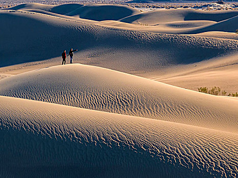 沙丘,两个人,死亡谷国家公园,美国