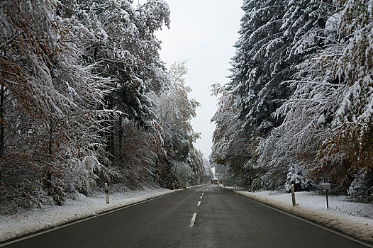乡间小路,雪,树林,靠近,巴伐利亚,德国,欧洲
