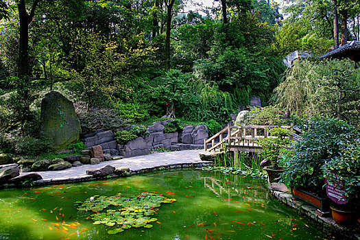 重庆南山植物园地景,巴山渝水