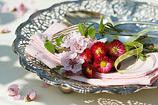 雏菊属,桃花,布餐巾