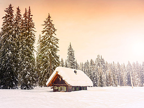 寒假,房子,斯洛文尼亚,阿尔卑斯山