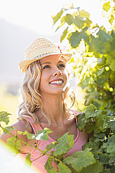 微笑,女人,戴着,草帽,站立,靠近,葡萄藤,葡萄园