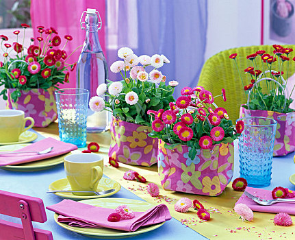 雏菊,白色,粉色,布,包,桌子