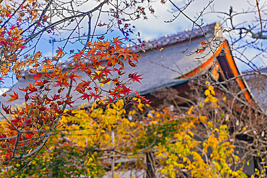 常寂光寺