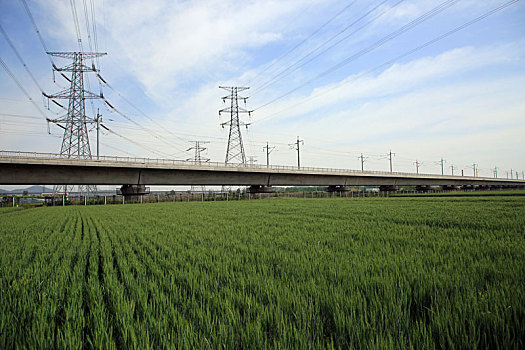 山东省日照市,麦田绿油油一片丰收在望,农民田间管理忙不停