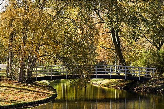 水塘,白色,桥,公园,秋天