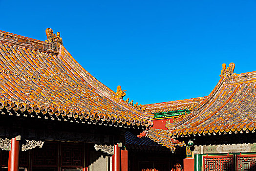 北京故宫博物院的屋脊