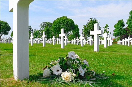 荷兰,六月,花,墓地,军人,美洲,纪念
