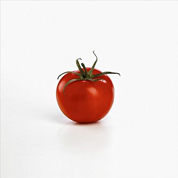 温室,藤,西红柿