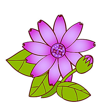 插画,紫花,白色背景