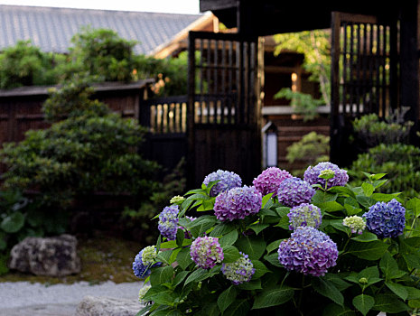 无锡拈花湾·和式小院